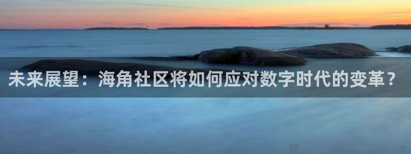 海角社区 分享：未来展望：海角社区将如何应对数字时代的变革？
