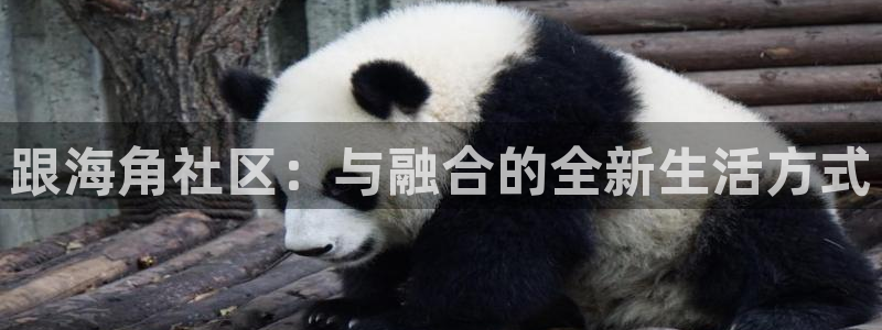 海角七号社区 海角视频：跟海角社区：与融合的全新生活方式