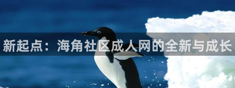 海角社区为啥还存在：新起点：海角社区成人网的全新与成长